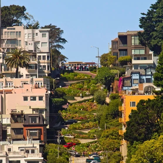 image of lombard street showing twisting street and homes