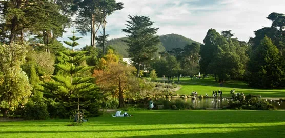 image of a park in san francisco outside of golden gate bridge